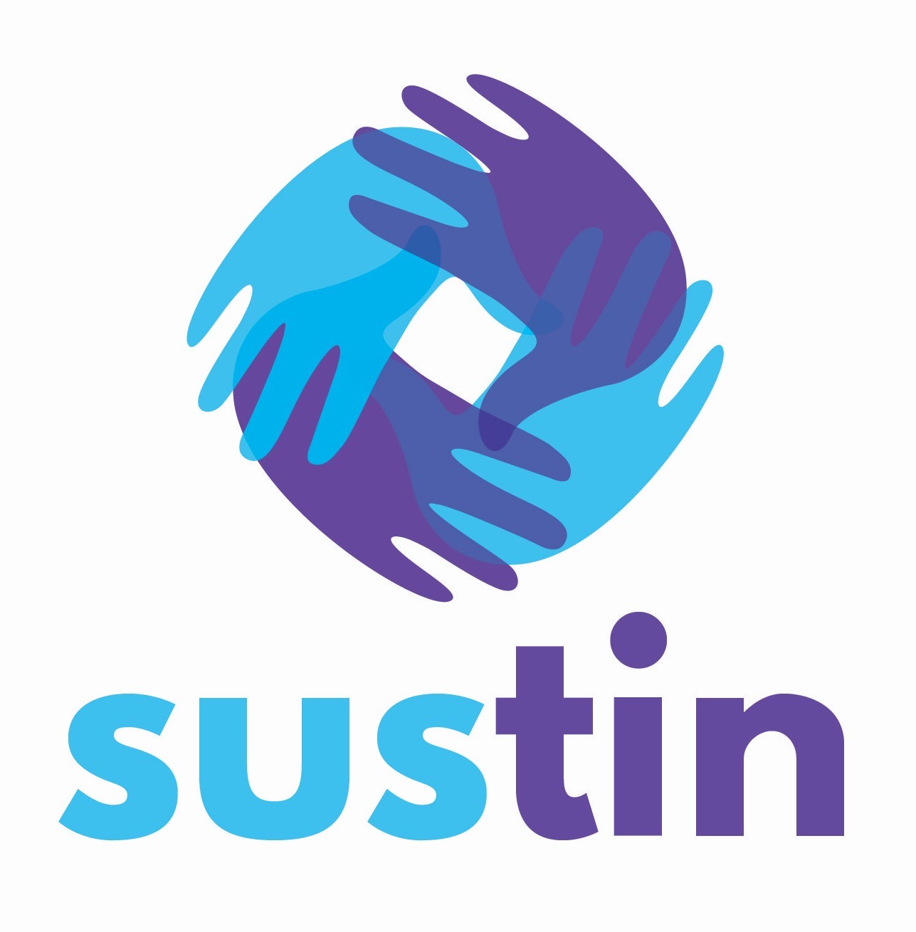 Carmistin International a finalizat programul de start-up-uri sociale pentru dezvoltare sustenabilă națională &#8211; SUSTIN